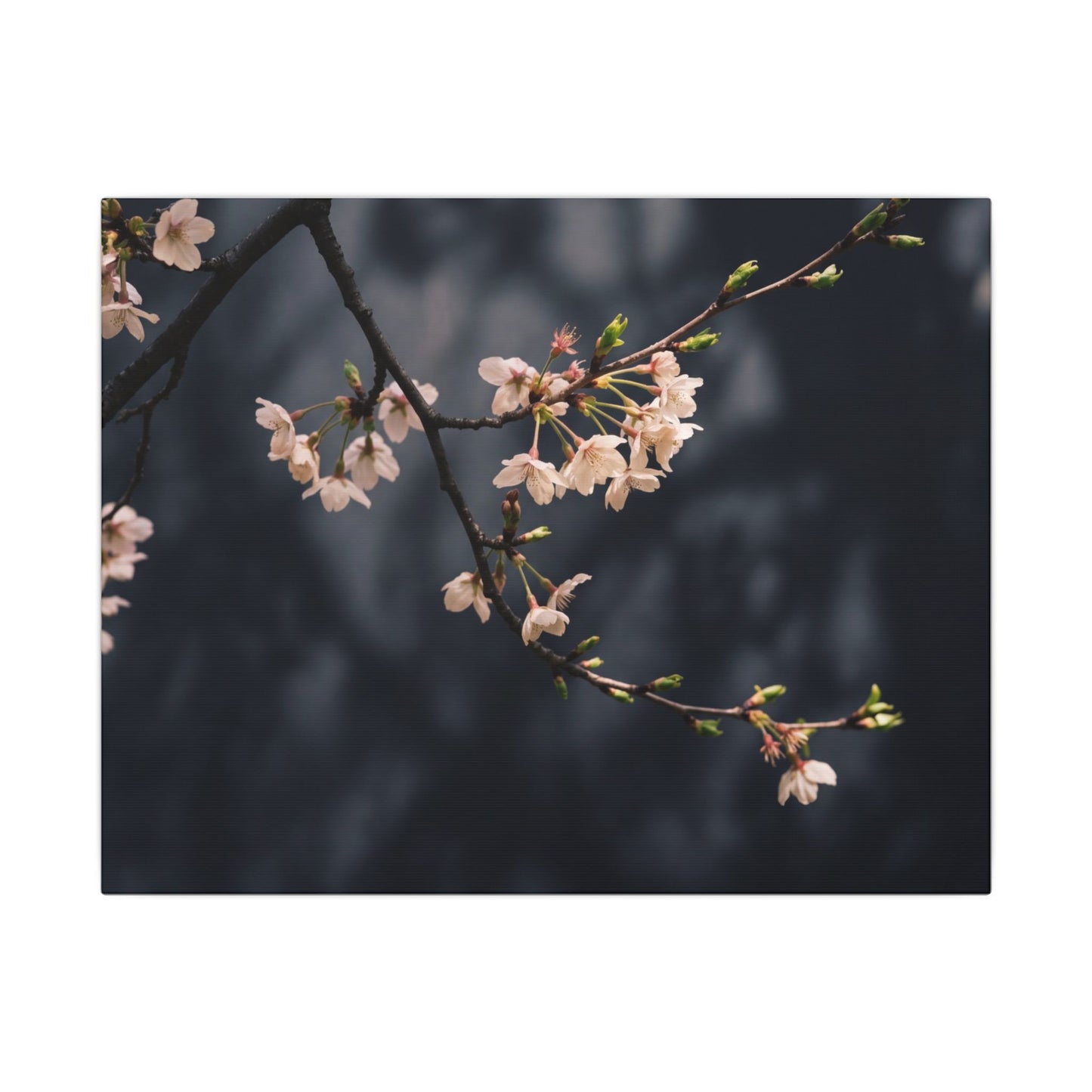 Cherry Blossom Moody Minimal Canvas Art | Bold Dark Japandi Art