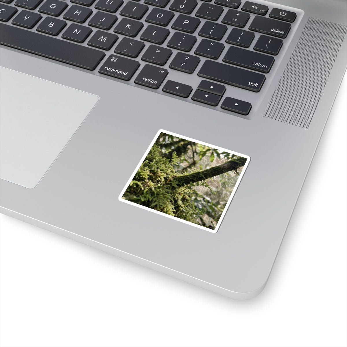 Moss Close Up Spring Sticker | Japandi Earthy Design