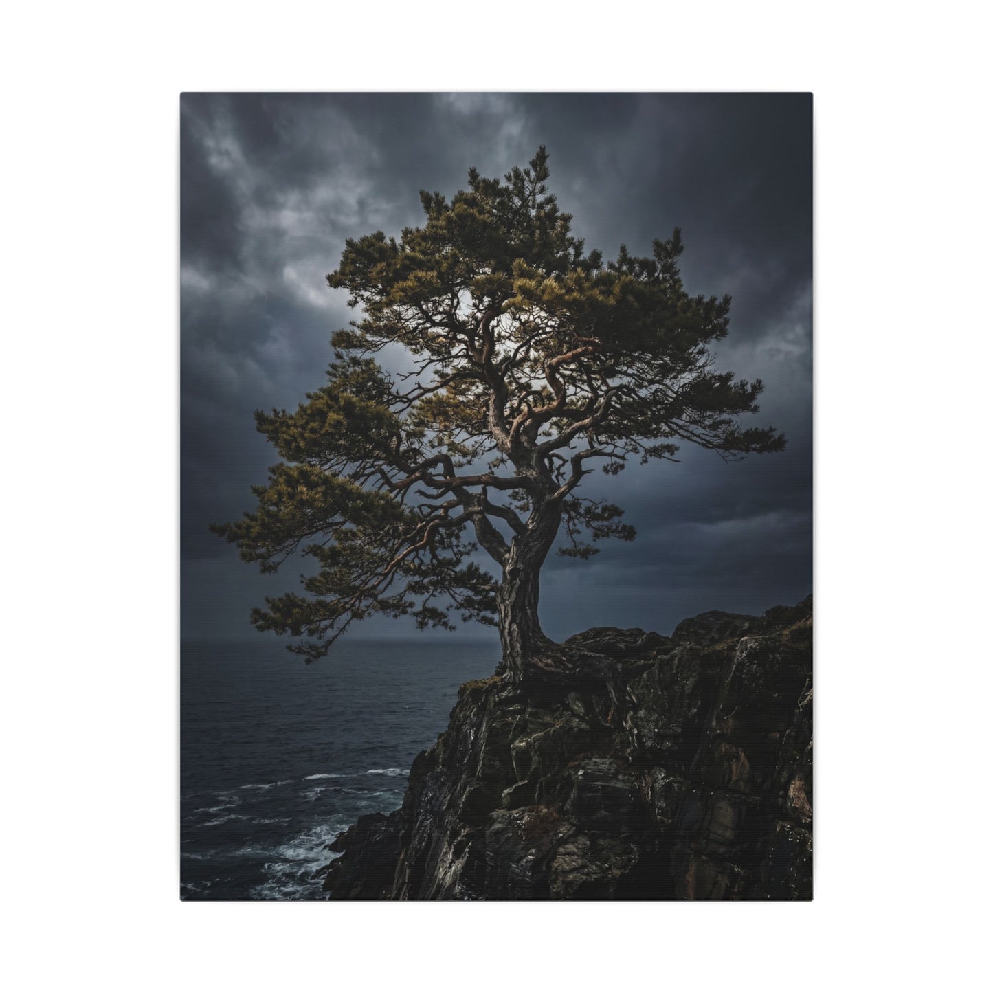 Dappled Pine Tree Canvas Art - Dark Japandi Fukinsei