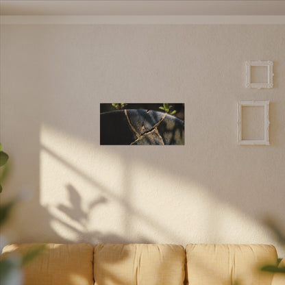 Seijaku Broken Pottery Canvas Art - Dark Japandi Shadow Zen