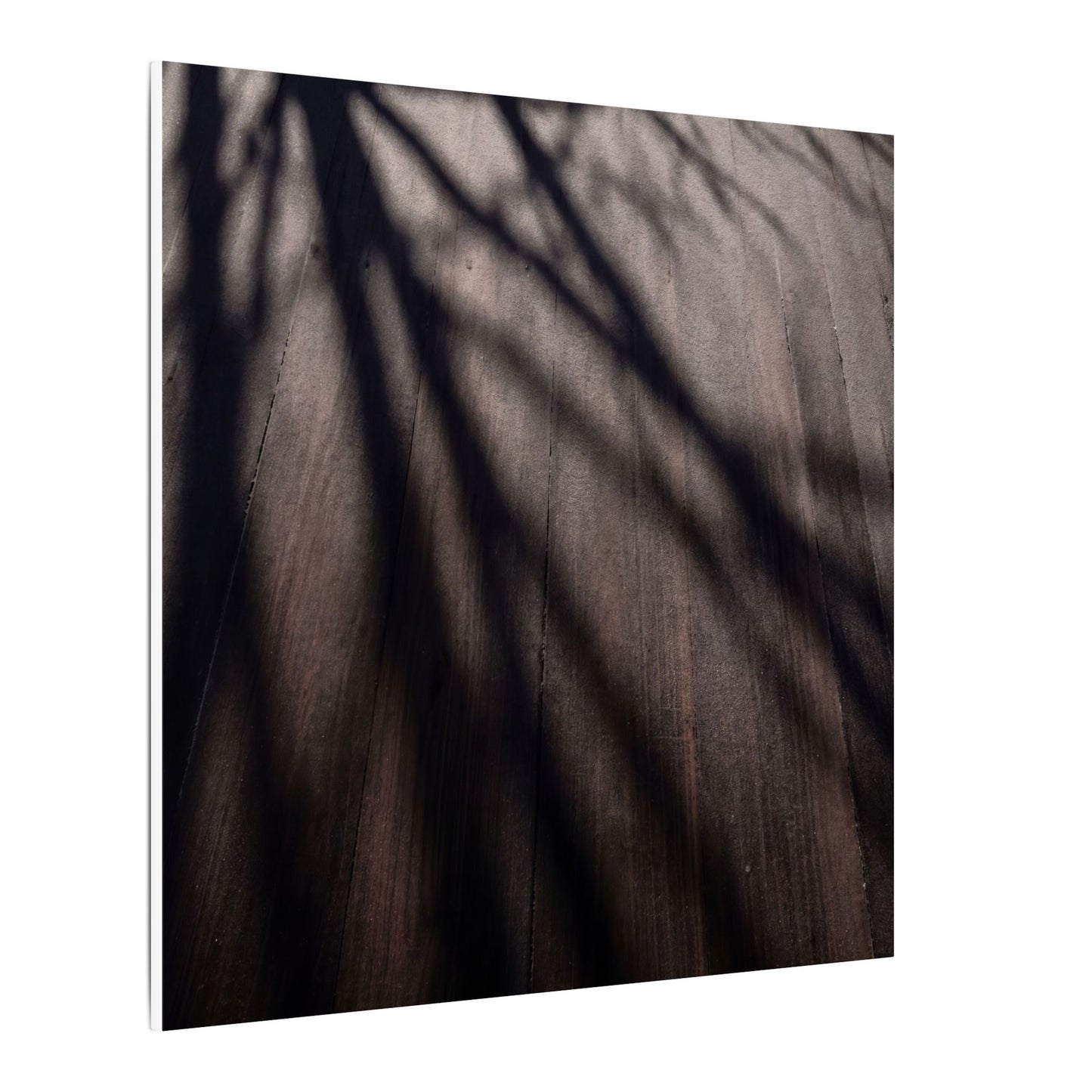 Dark Japandi Shadow Play in Dawn | Moody Minimal Canvas Art