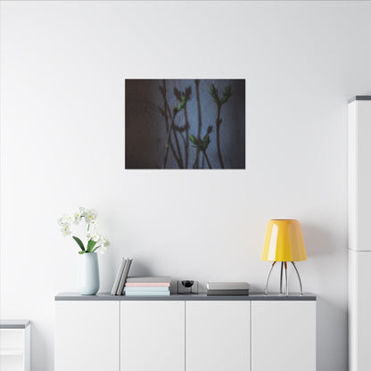 Shadow Play Spring Canvas Art | Dark Japandi Sophisticated Design