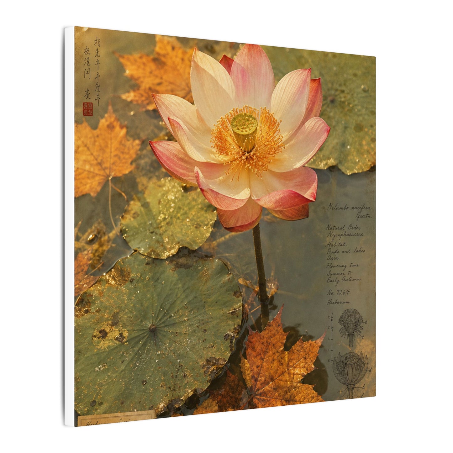 Autumn Lotus Flower Herbarium Canvas Art | Rustic Decor