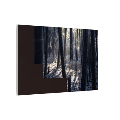 Bamboo Grove Canvas Art | Winter Dark Japandi Moody Minimal Art