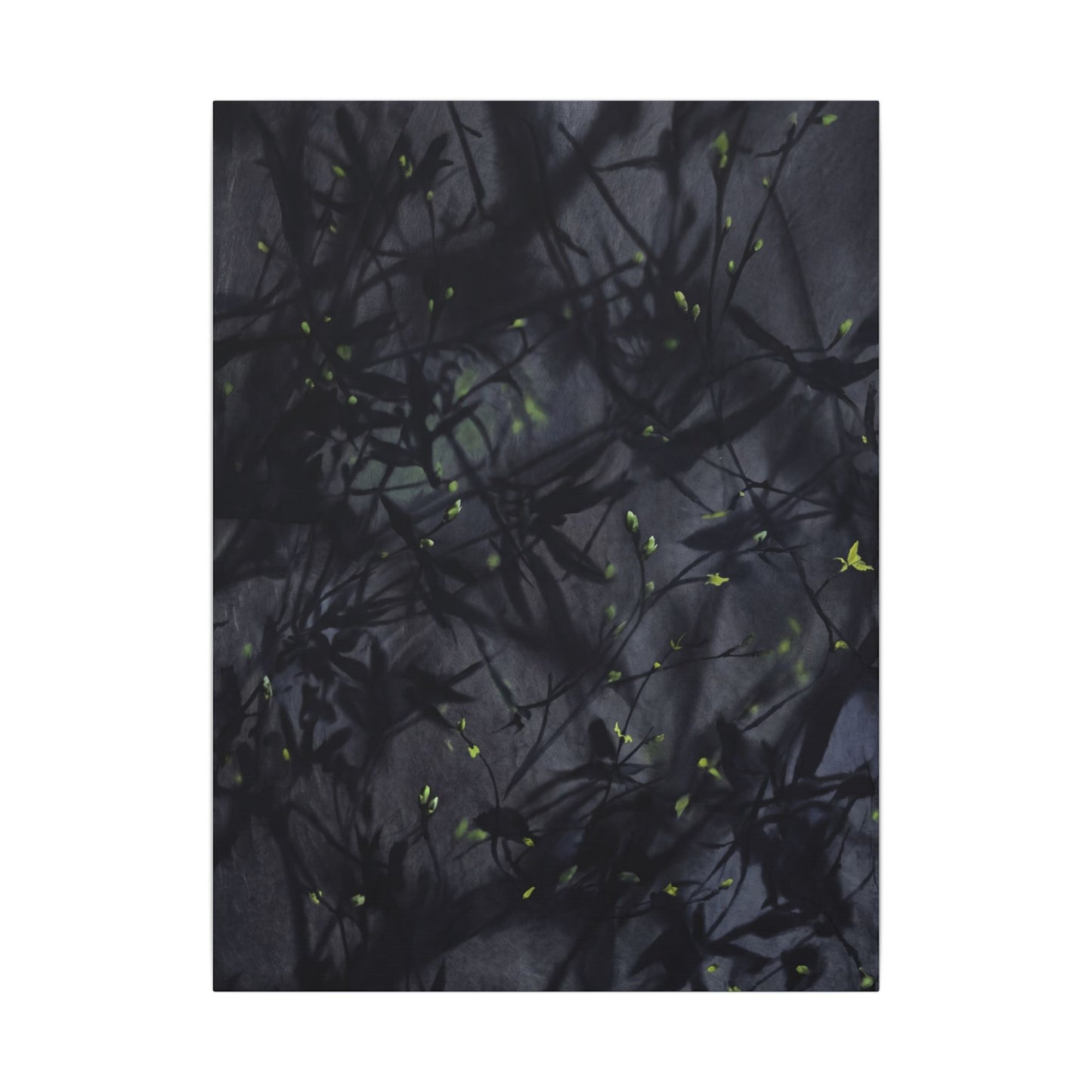 Shadow Play Spring Canvas Art | Dark Japandi Atmospheric Design