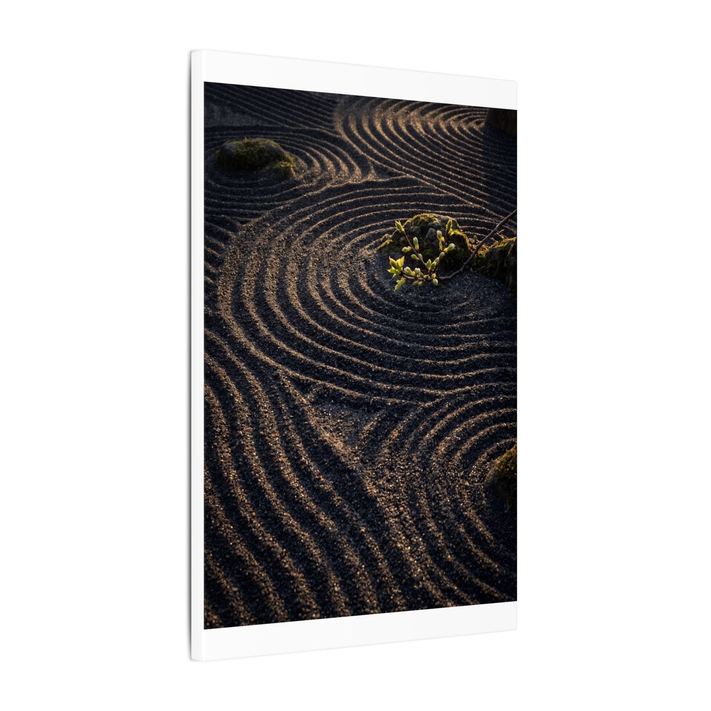 Spring Rock Garden Shadow Zen Canvas Art | Atmospheric Decor