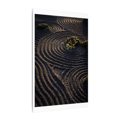 Spring Rock Garden Shadow Zen Canvas Art | Atmospheric Decor