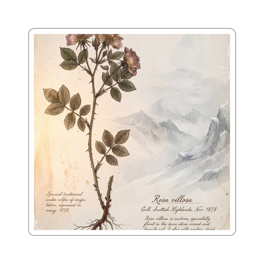 Mountain Mist Winter Sticker | Cottagecore Earthy Design