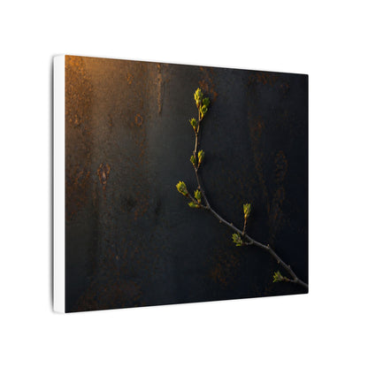 Dark Japandi Rust Patina in Golden Hour | Moody Minimal Canvas Art