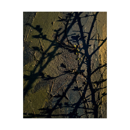 Golden Hour Shadow Play Wall Art Print - Dark Japandi Kanso