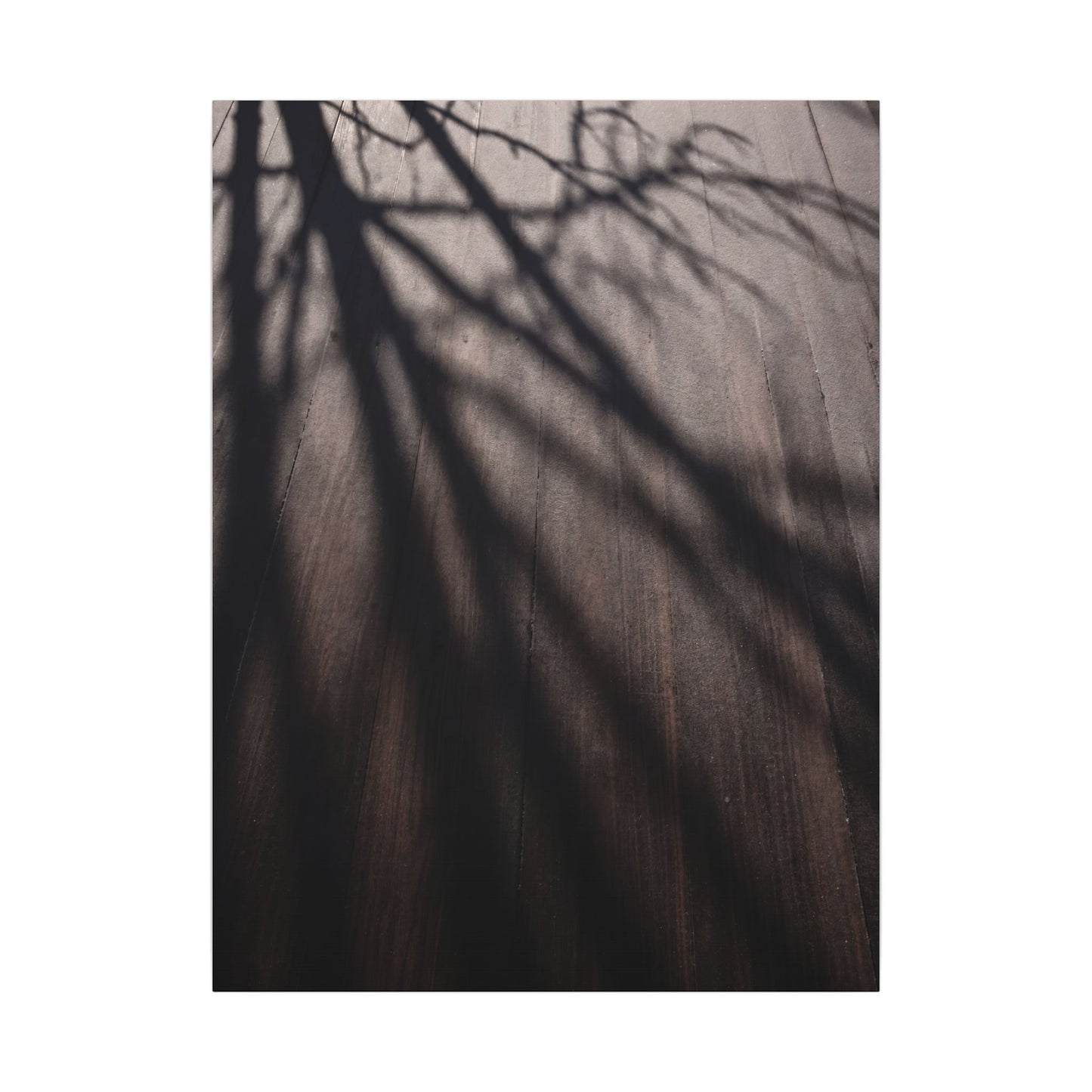 Dark Japandi Shadow Play in Dawn | Moody Minimal Canvas Art
