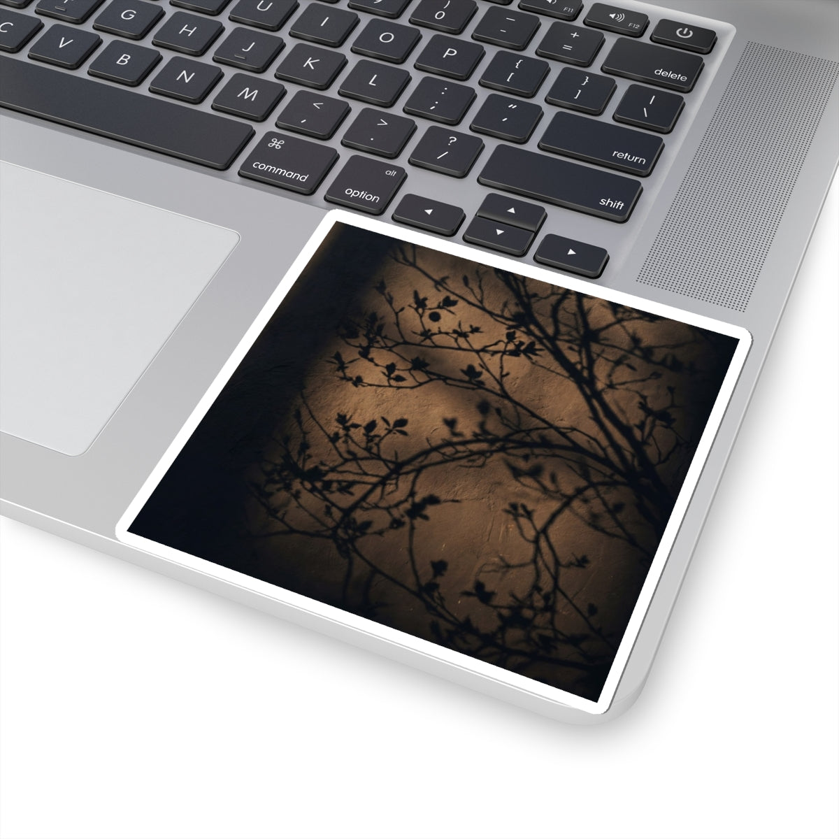 Dark Japandi Shadow Play in Golden Hour | Shadow Zen Sticker Art Print