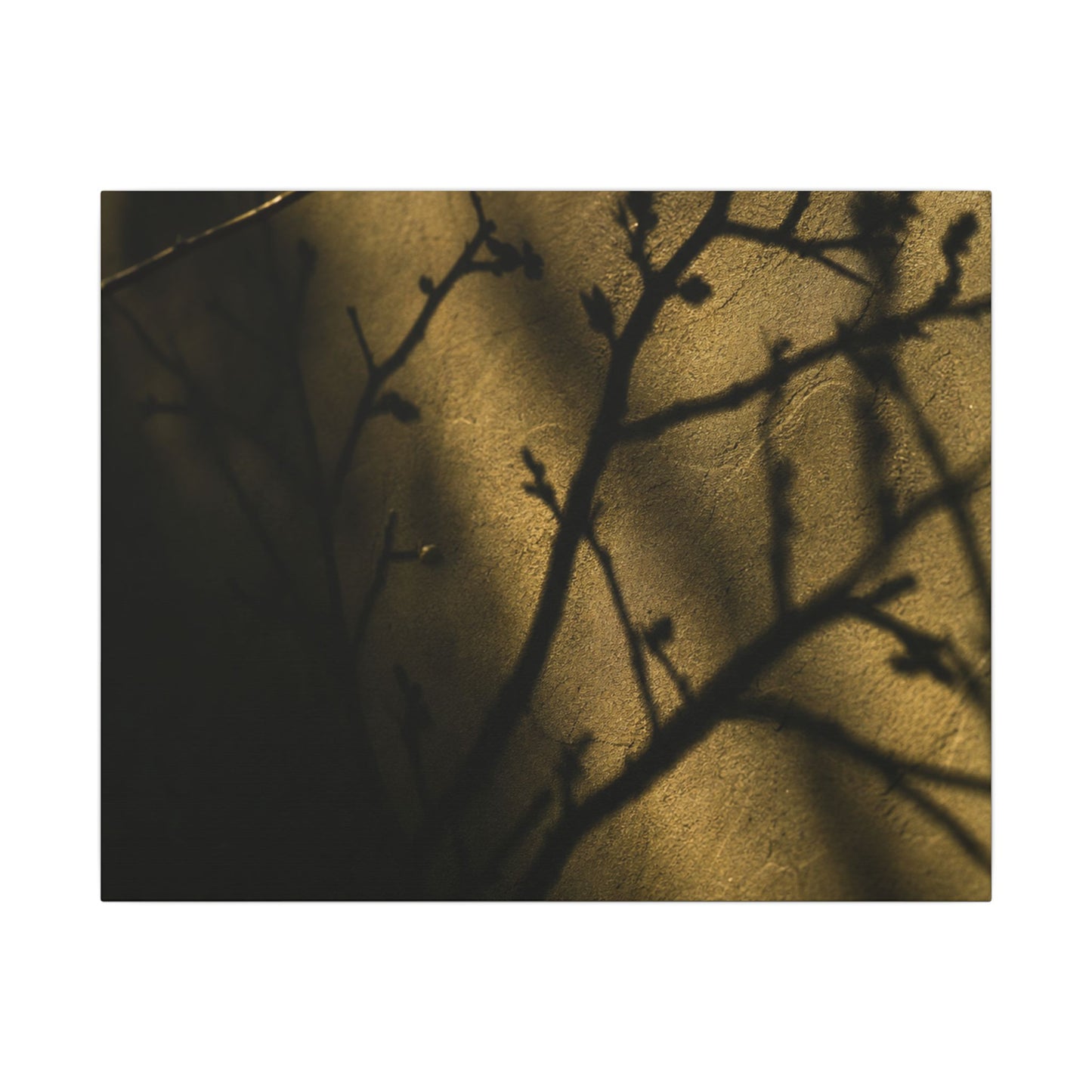 Golden Hour Shadow Play Canvas Art - Dark Japandi Seijaku