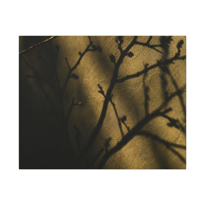 Golden Hour Shadow Play Canvas Art - Dark Japandi Seijaku