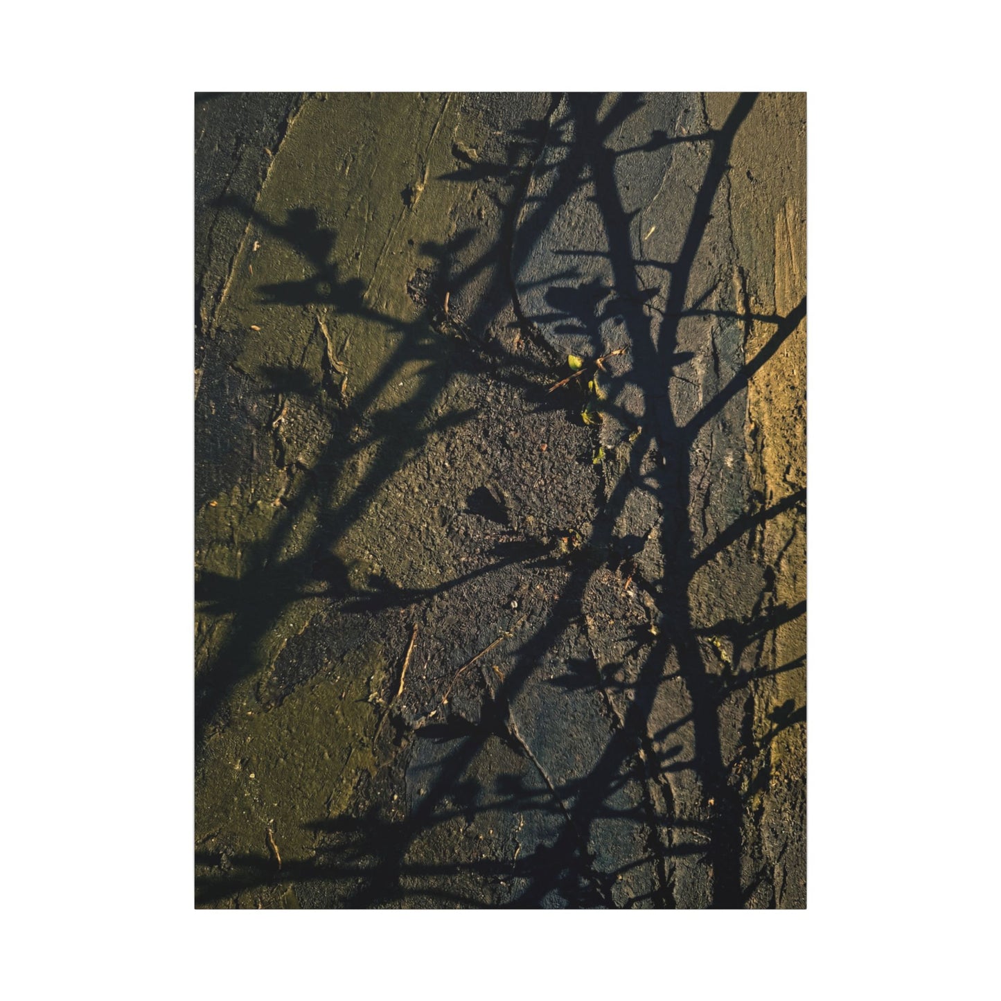 Kanso Shadow Play Canvas Art - Dark Japandi Dark Texture
