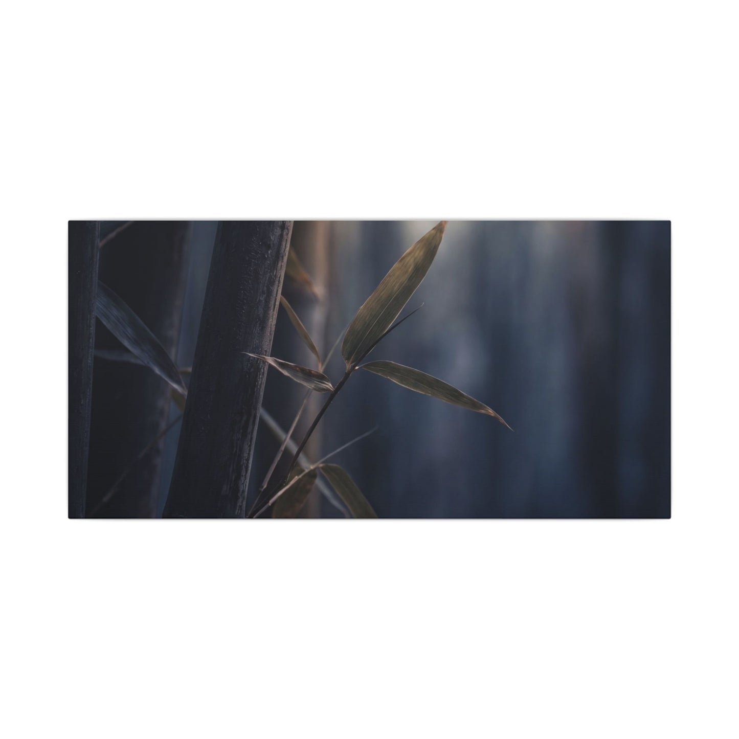 Dark Japandi Bamboo Grove in Dawn | Moody Minimal Canvas Art