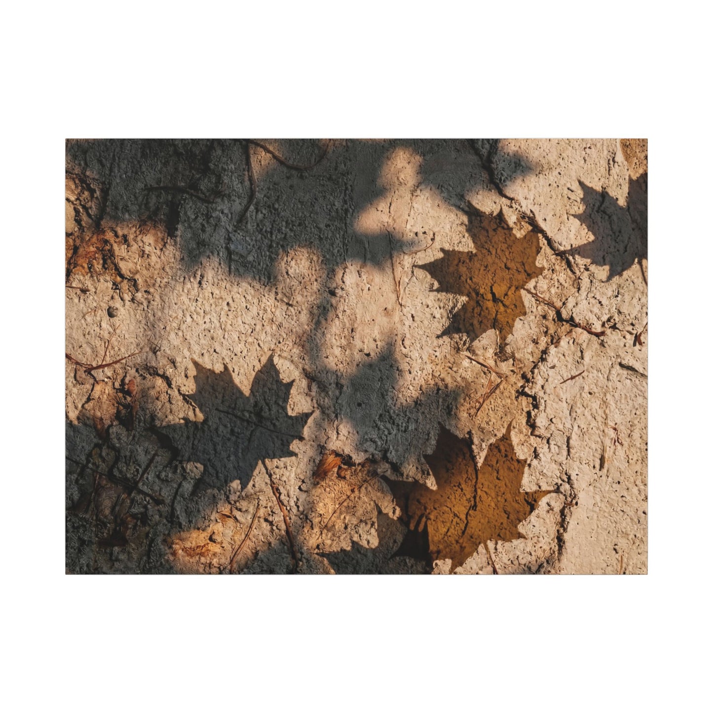 Cozy Shadow Play Canvas Art - Texture Japandi