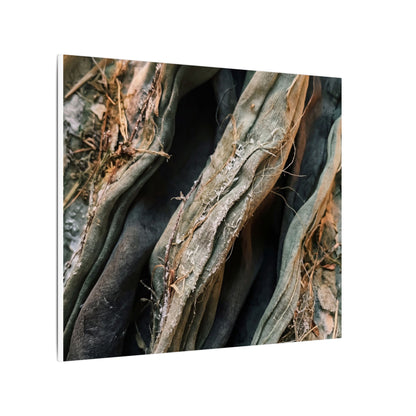 Silk Drape Winter Canvas Art | Japandi Cozy Design