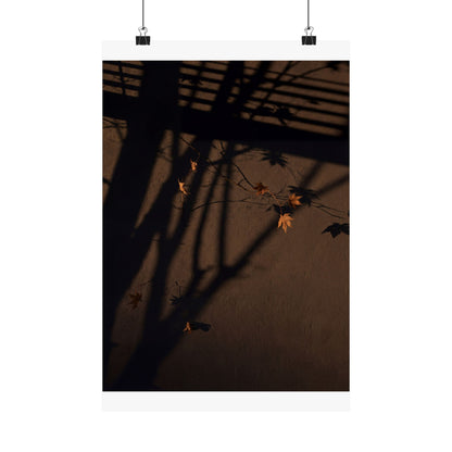 Autumn Shadow Play Shadow Zen Wall Art Print | Sophisticated Decor Art Print