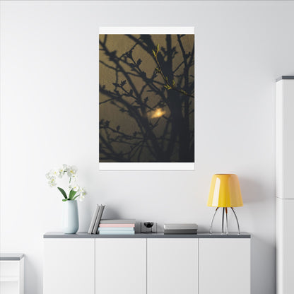 Bold Shadow Play Canvas Art - Moody Minimal Dark Japandi Art Print