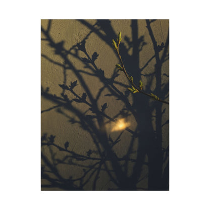 Bold Shadow Play Canvas Art - Moody Minimal Dark Japandi