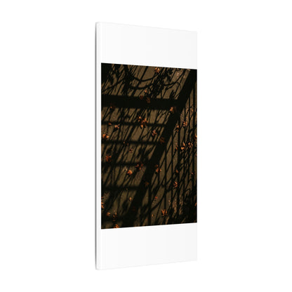 Dark Japandi Shadow Play in Golden Hour | Moody Minimal Canvas Art