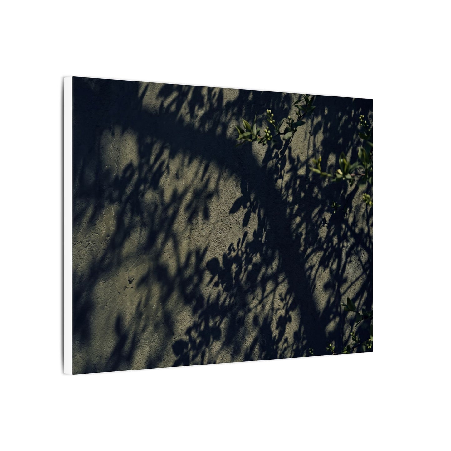 Atmospheric Shadow Play Canvas Art - Moody Minimal Dark Japandi