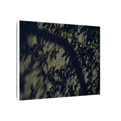 Atmospheric Shadow Play Canvas Art - Moody Minimal Dark Japandi