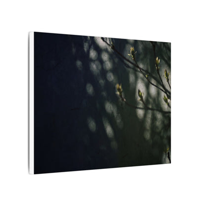 Dark Japandi Shoji Screen in Dappled | Moody Minimal Canvas Art