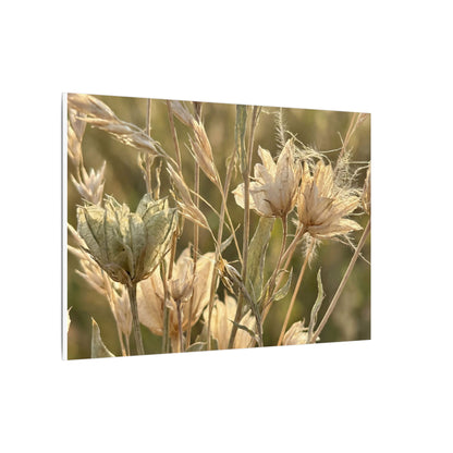 Summer Dried Flowers Minimal Line Canvas Art | Cozy Decor