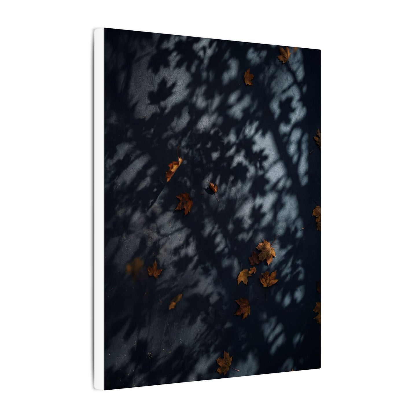 Autumn Shadow Play Shadow Zen Canvas Art | Atmospheric Decor