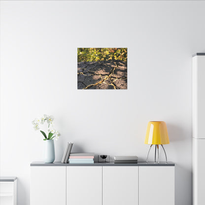 Shibui Cracked Earth Canvas Art - Kintsugi Gold Repair