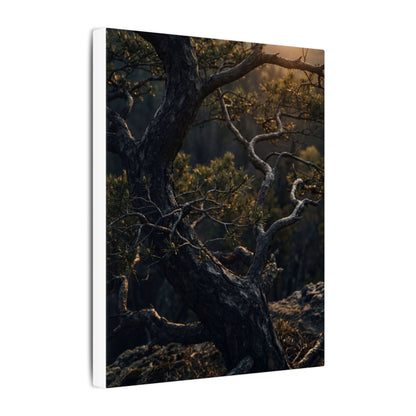 Moody Pine Tree Canvas Art - Moody Minimal Dark Japandi