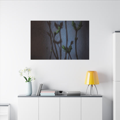 Shadow Play Spring Canvas Art | Dark Japandi Sophisticated Design