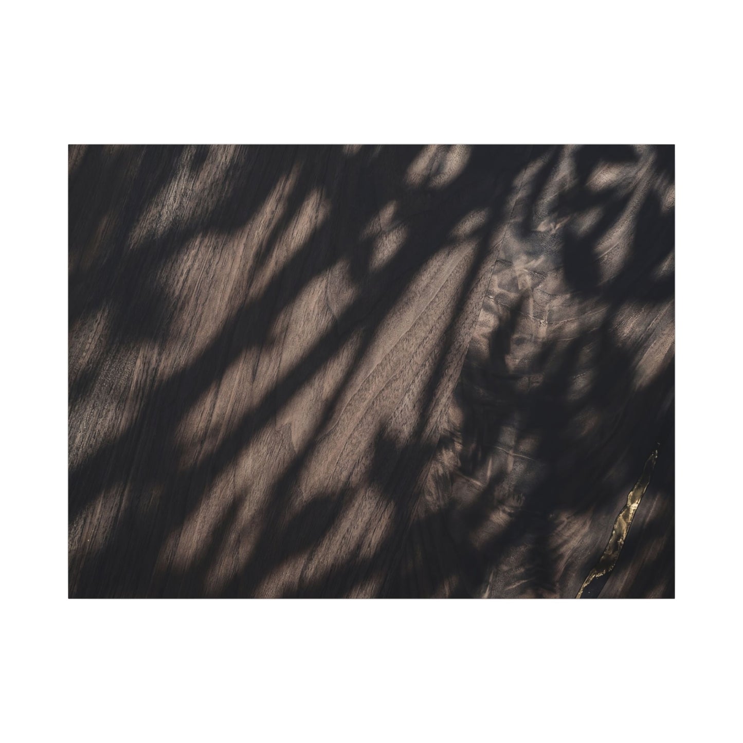Shadow Play Summer Canvas Art | Dark Japandi Moody Design