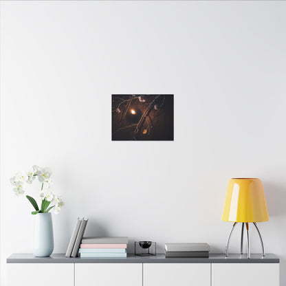 Datsuzoku Cherry Blossom Canvas Art - Dark Japandi Moody Minimal