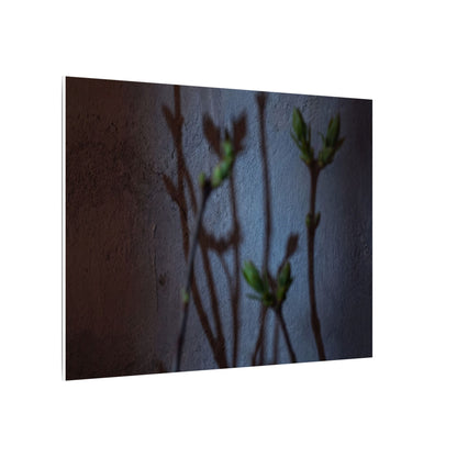 Shadow Play Spring Canvas Art | Dark Japandi Sophisticated Design