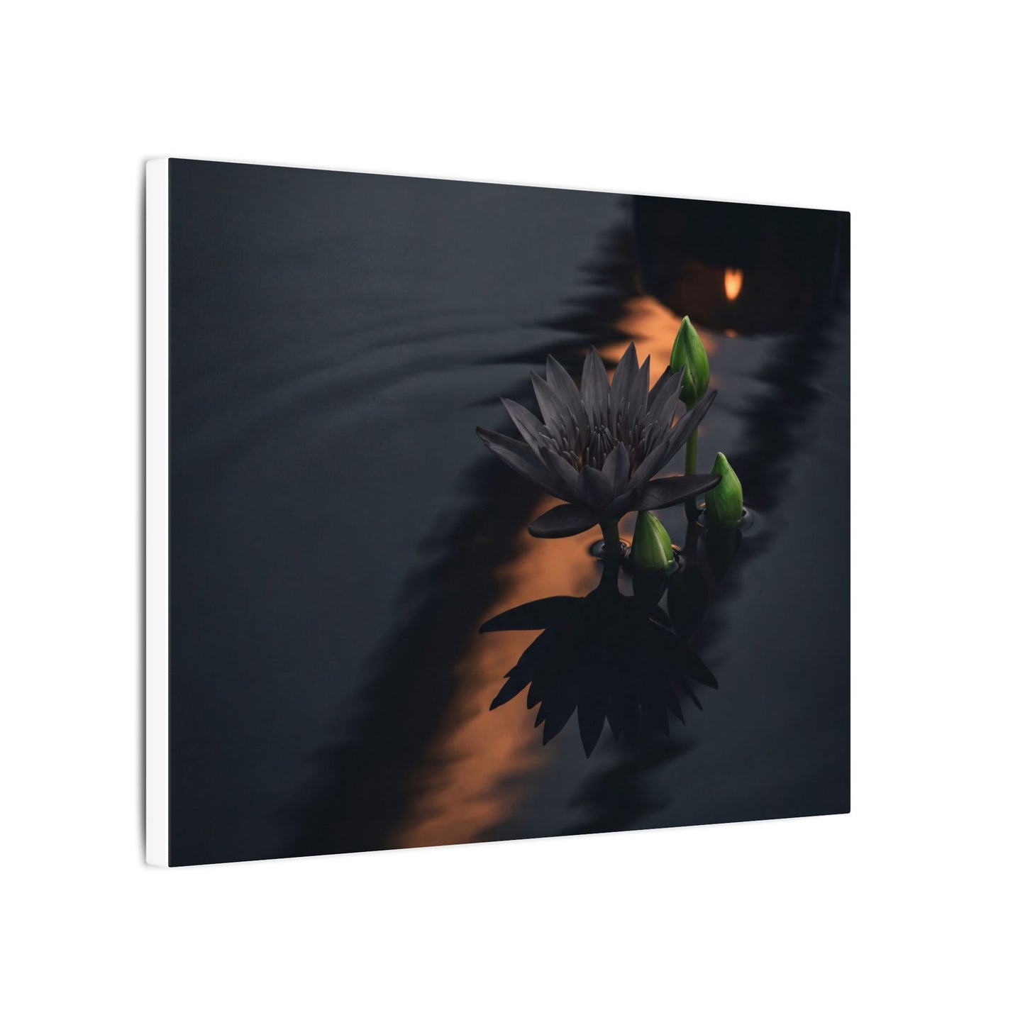 Seijaku Lotus Flower Canvas Art - Dark Japandi Shadow Zen