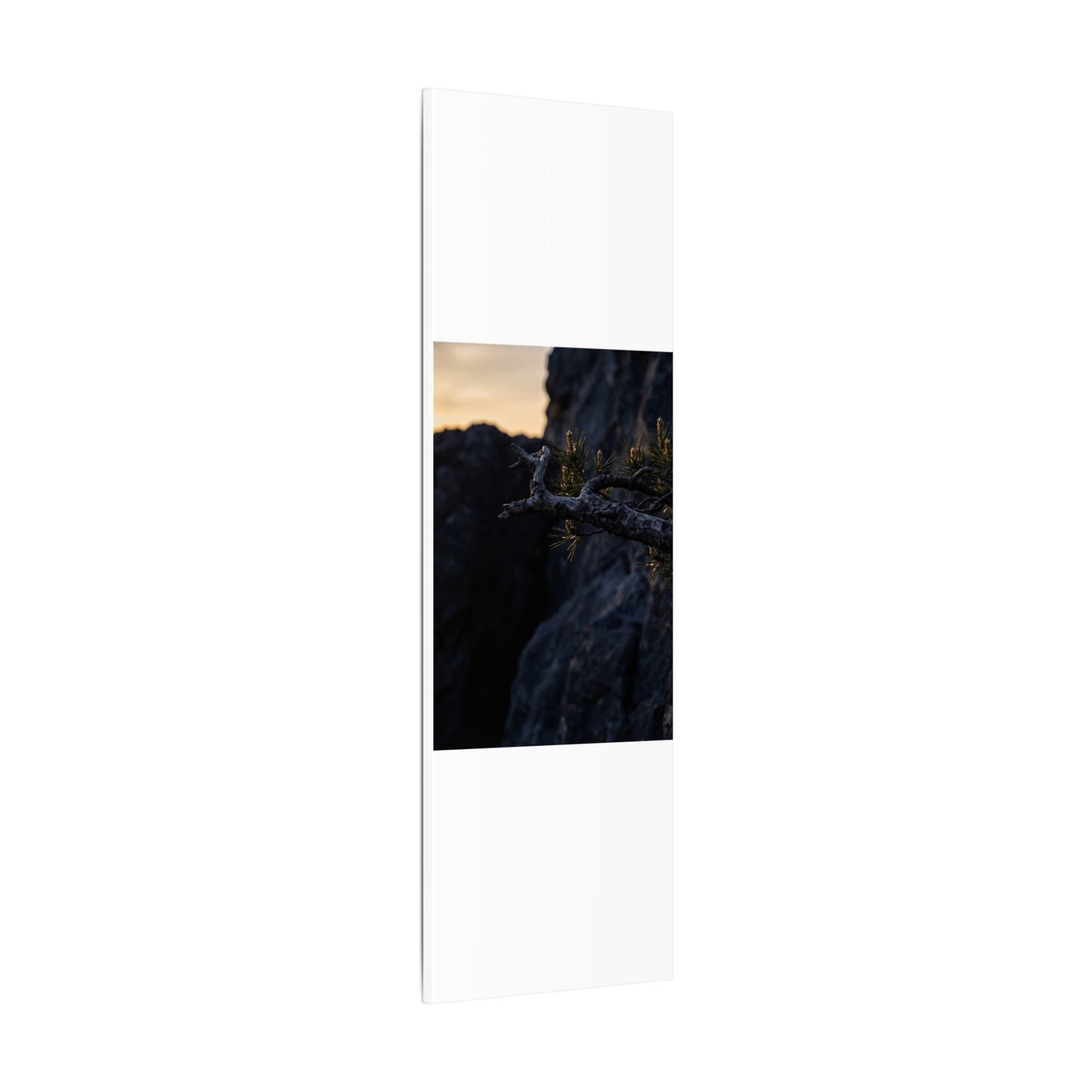 Pine Tree Moody Minimal Canvas Art | Sophisticated Dark Japandi Art