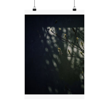 Shoji Screen Wall Art Print | Spring Dark Japandi Moody Minimal Art Art Print