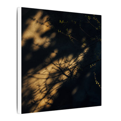 Moody Shadow Play Canvas Art - Moody Minimal Dark Japandi