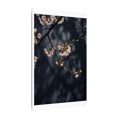 Cherry Blossom Moody Minimal Canvas Art | Bold Dark Japandi Art