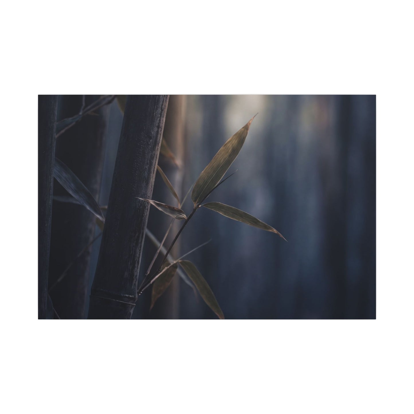 Dark Japandi Bamboo Grove in Dawn | Moody Minimal Canvas Art Art Print