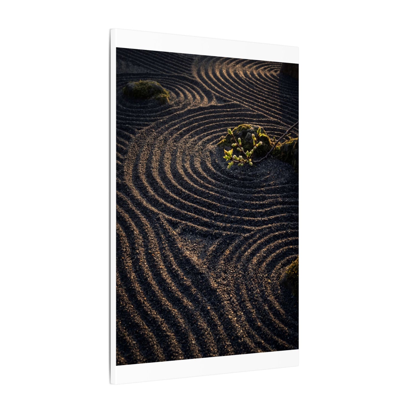 Spring Rock Garden Shadow Zen Canvas Art | Atmospheric Decor