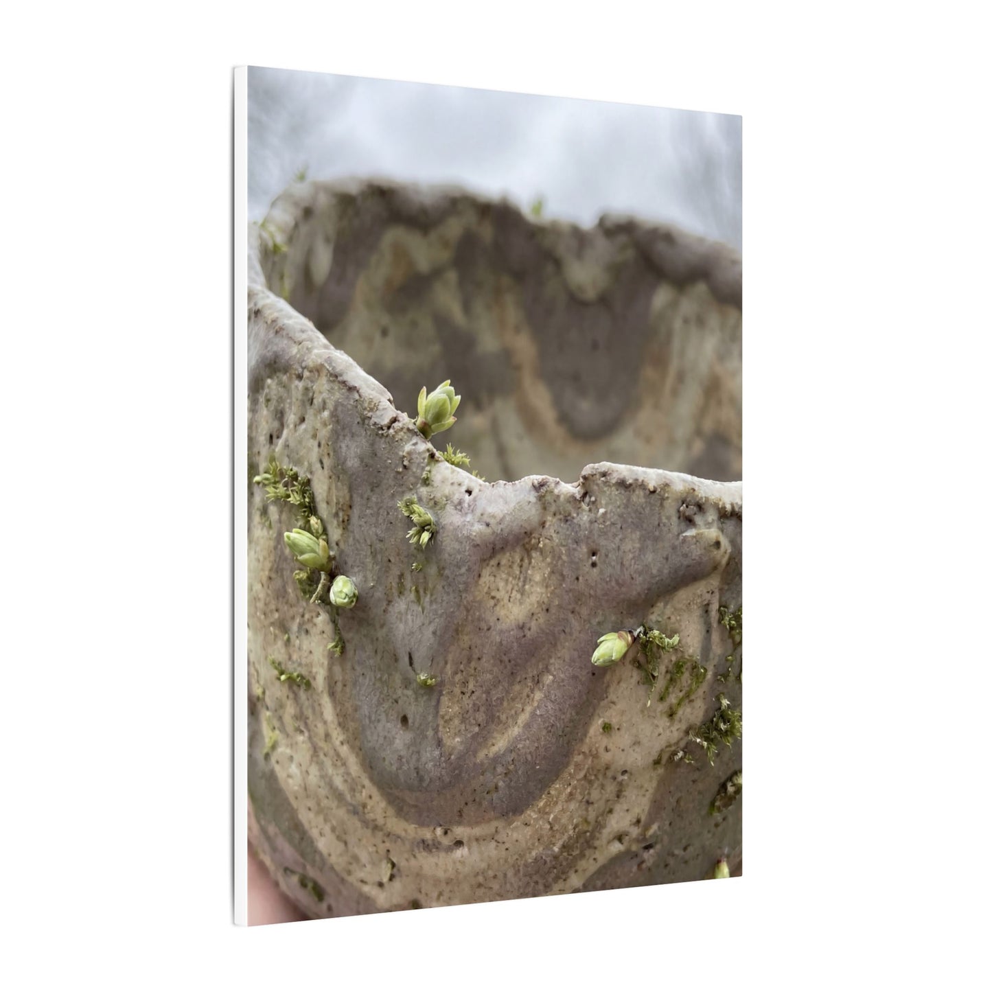 Overcast Ceramic Bowl Canvas Art - Japandi Fukinsei