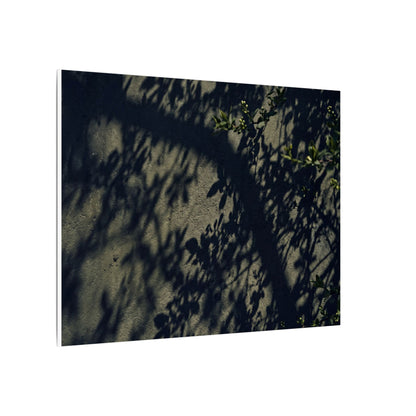 Atmospheric Shadow Play Canvas Art - Moody Minimal Dark Japandi