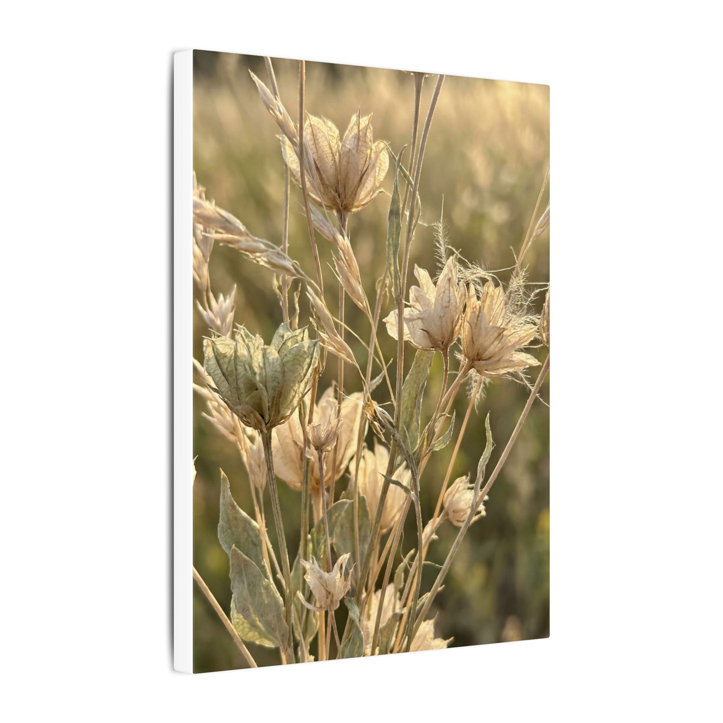 Summer Dried Flowers Minimal Line Canvas Art | Cozy Decor