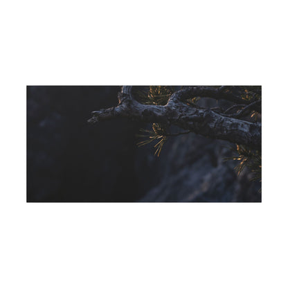 Pine Tree Moody Minimal Canvas Art | Sophisticated Dark Japandi Art
