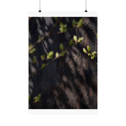 Shadow Play Dark Texture Wall Art Print | Atmospheric Dark Japandi Art