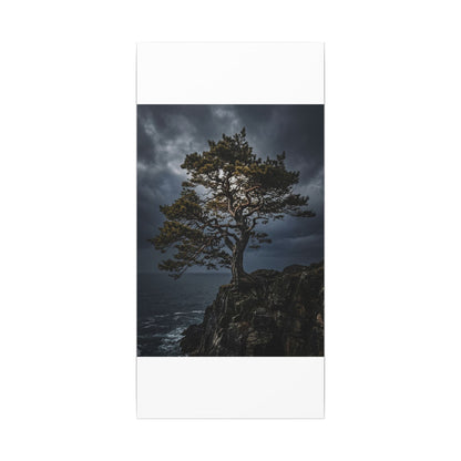Dappled Pine Tree Canvas Art - Dark Japandi Fukinsei